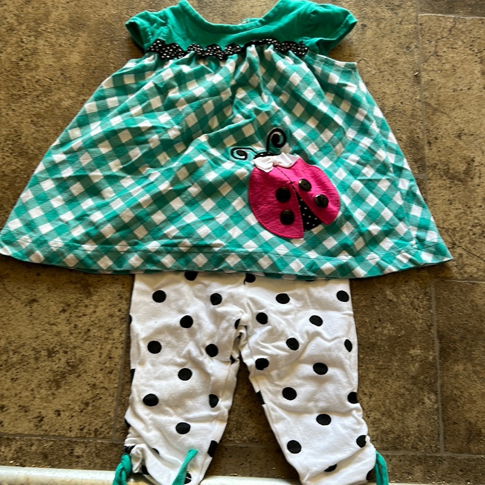Ladybug Set